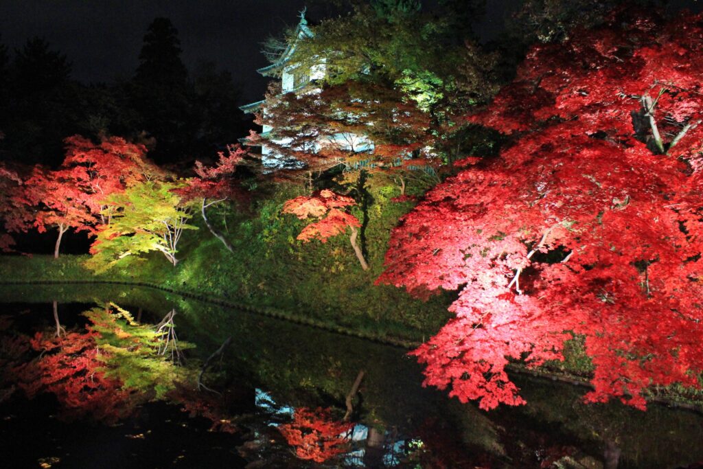 シルバーフェリーで行く　弘前城「菊と紅葉まつり」奥入瀬渓流・十和田湖・弘南鉄道