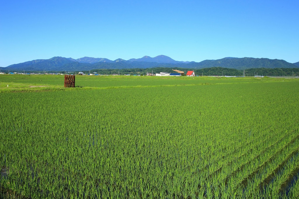 町長がバスガイド　～新十津川町編～　農業新時代を拓く“家族経営型スマート農業”のまち