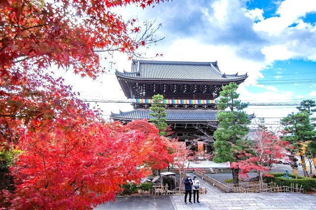 新日本海フェリーで行く　　京都の文化財と紅葉名所　東寺ライトアップ・風神雷神図屛風・法堂天井画双龍図