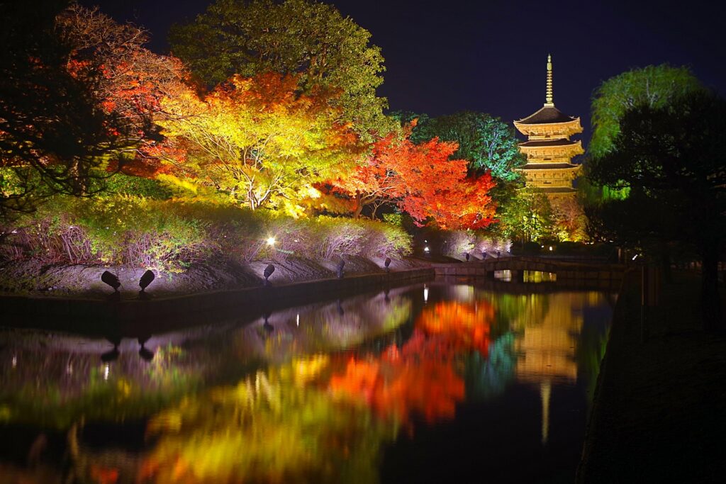 新日本海フェリーで行く　　京都の文化財と紅葉名所　東寺ライトアップ・風神雷神図屛風・法堂天井画双龍図