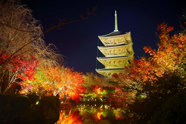 新日本海フェリーで行く　　京都の文化財と紅葉名所　東寺ライトアップ・風神雷神図屛風・法堂天井画双龍図