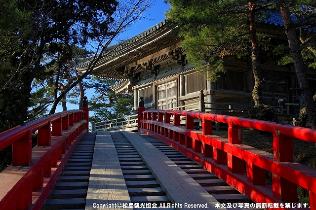 太平洋フェリーで行く　宮城グルメと日本三景松島遊覧（いちご狩り・牛たん・焼き牡蠣・笹かま・雪見団子）