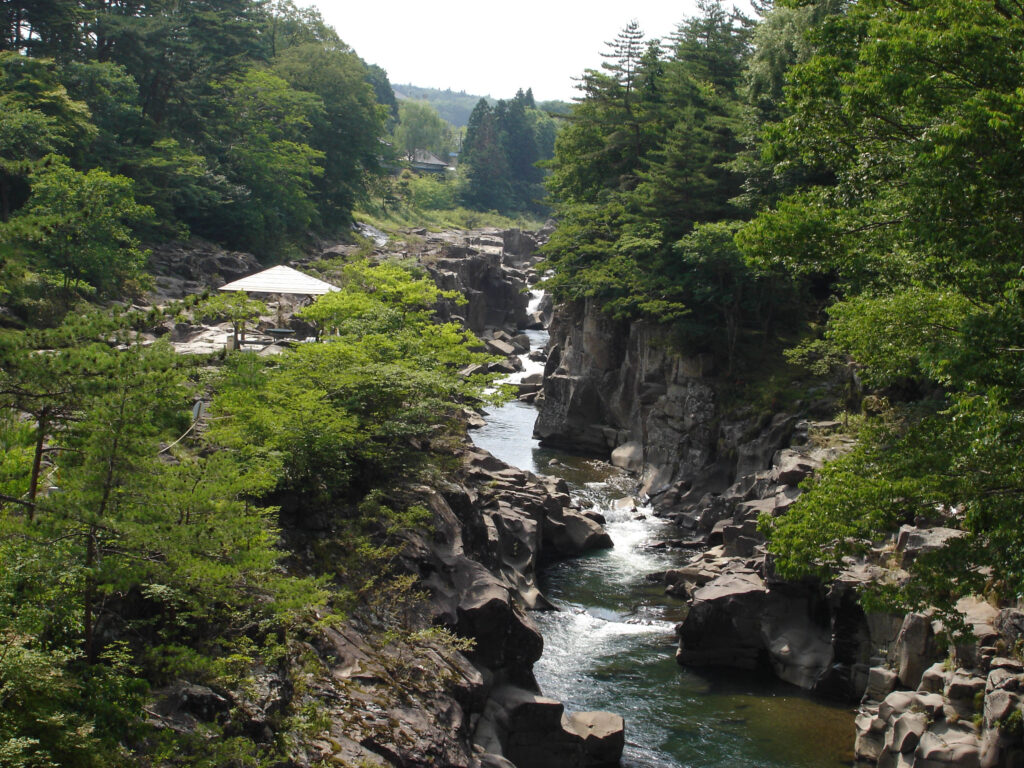 太平洋フェリーで行く東北桜の名所　北上展勝地と中尊寺・厳美渓