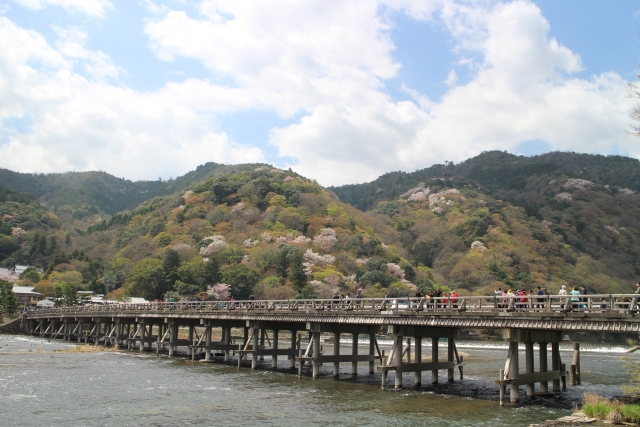 新日本海フェリーで行く　京都の文化財と桜名所＜国宝 鳥獣人物戯画・嵐山・美山かやぶきの里＞　