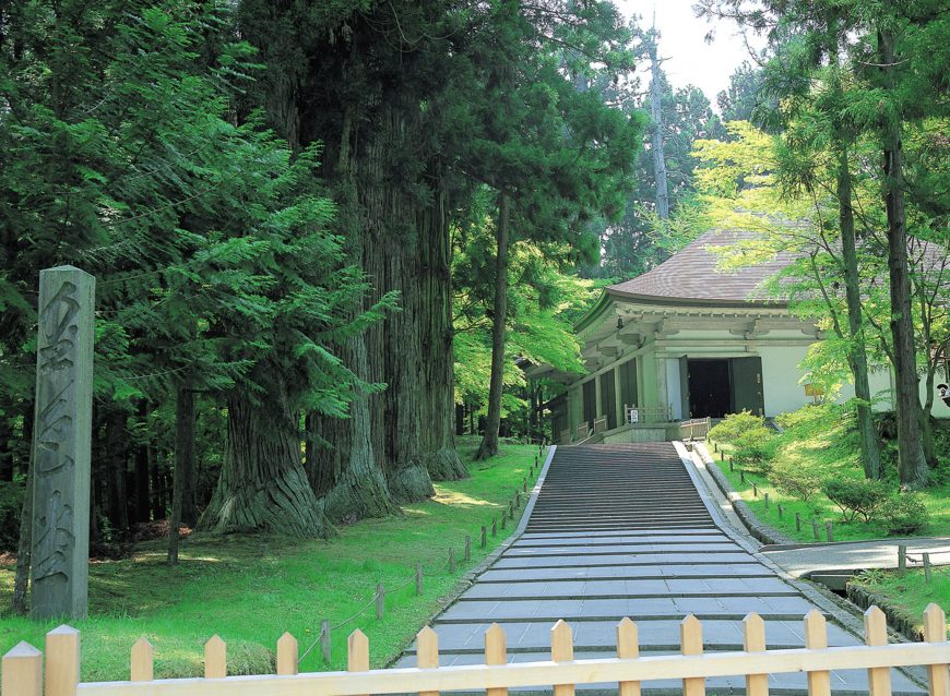 太平洋フェリーで行く東北桜の名所　北上展勝地と中尊寺・厳美渓