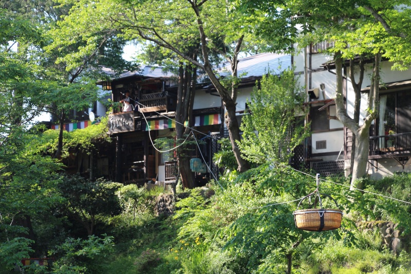 太平洋フェリーで行く東北桜の名所　北上展勝地と中尊寺・厳美渓