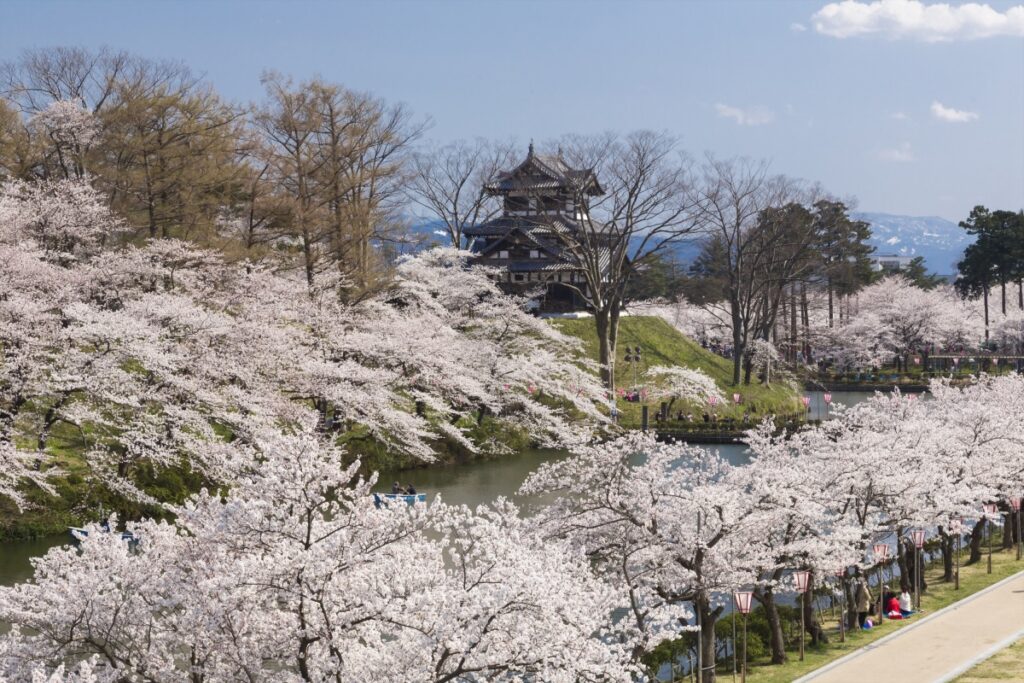 新日本海フェリーで行く　佐渡島と新潟の桜名所　＜祝！世界文化遺産登録 史跡佐渡金山＞