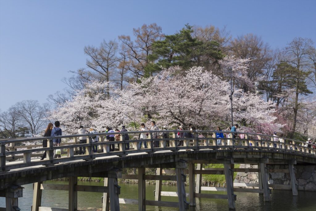 新日本海フェリーで行く　佐渡島と新潟の桜名所　＜祝！世界文化遺産登録 史跡佐渡金山＞