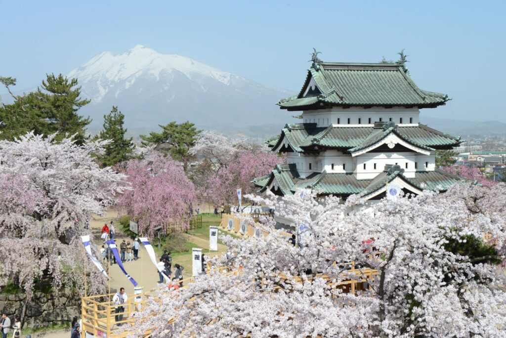 ＜4/12発＞ 東北の桜名所めぐり＜角館・弘前城・大潟菜の花ロード＞　秋田航路25周年記念