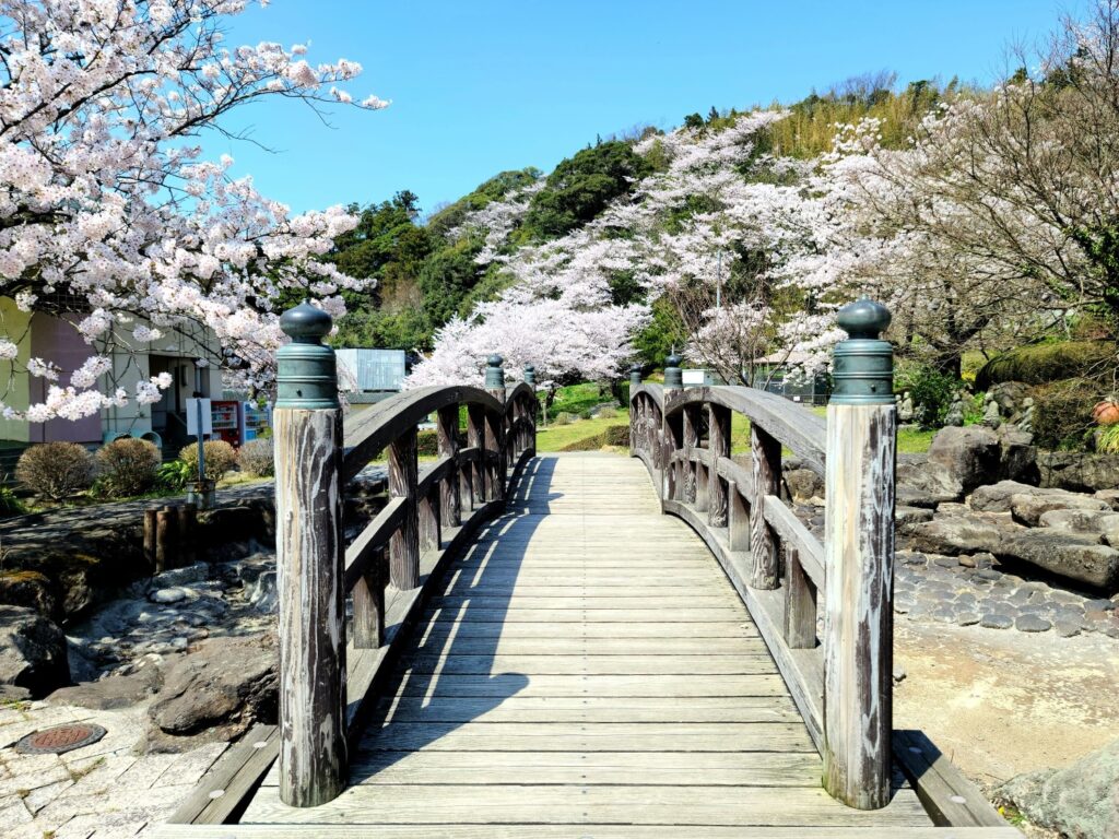 新日本海フェリーで行く　佐渡島と新潟の桜名所　＜祝！世界文化遺産登録 史跡佐渡金山＞