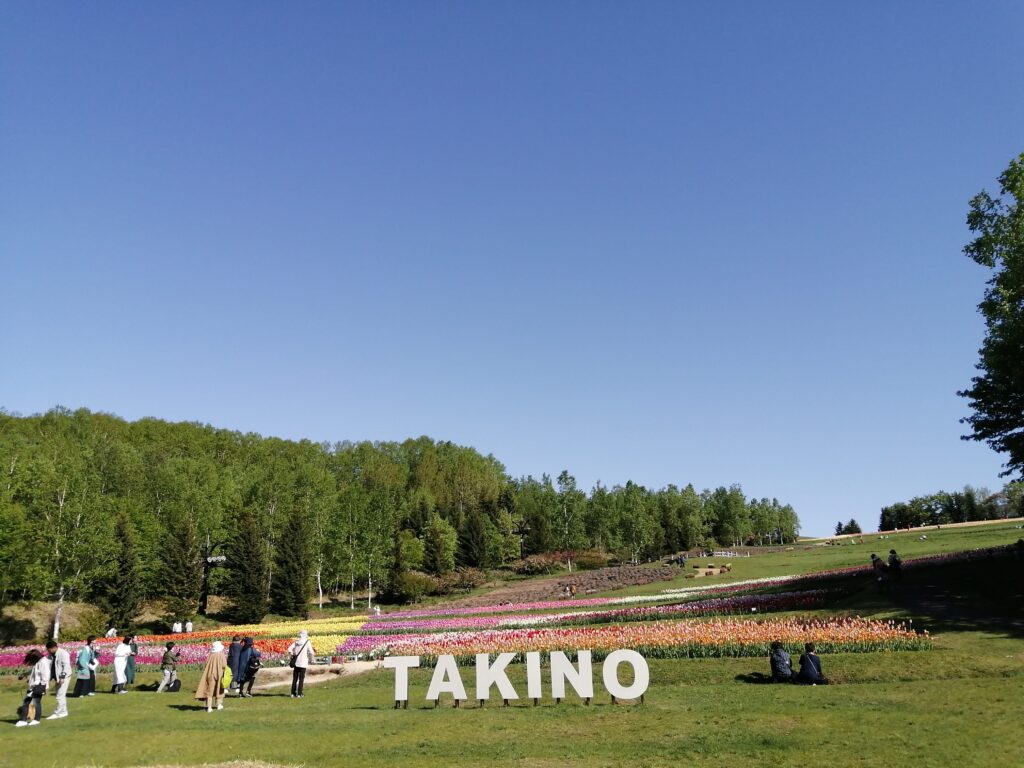 滝野すずらん丘陵公園の花畑とホクレンくるるの杜ランチブッフェ・竹山高原温泉